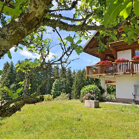 Sonnenmatt Apartamento Dachsberg im Schwarzwald