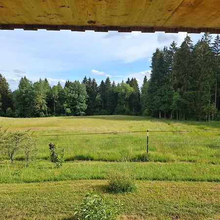 Apartamento Sonnenmatt Dachsberg im Schwarzwald