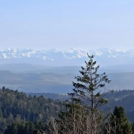 Apartamento Sonnenmatt Dachsberg im Schwarzwald