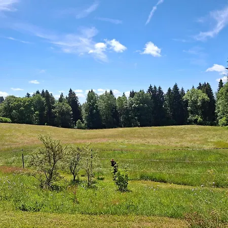 Sonnenmatt Dachsberg im Schwarzwald