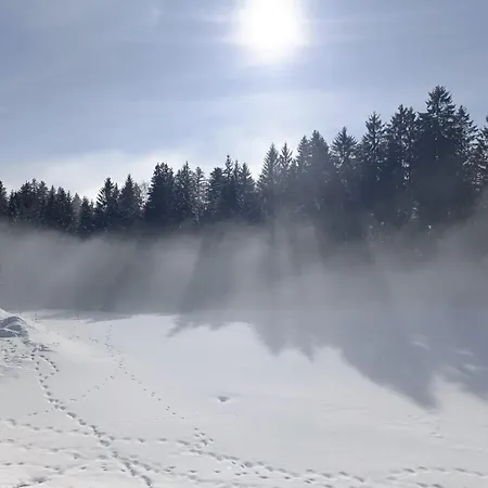 Sonnenmatt Dachsberg im Schwarzwald